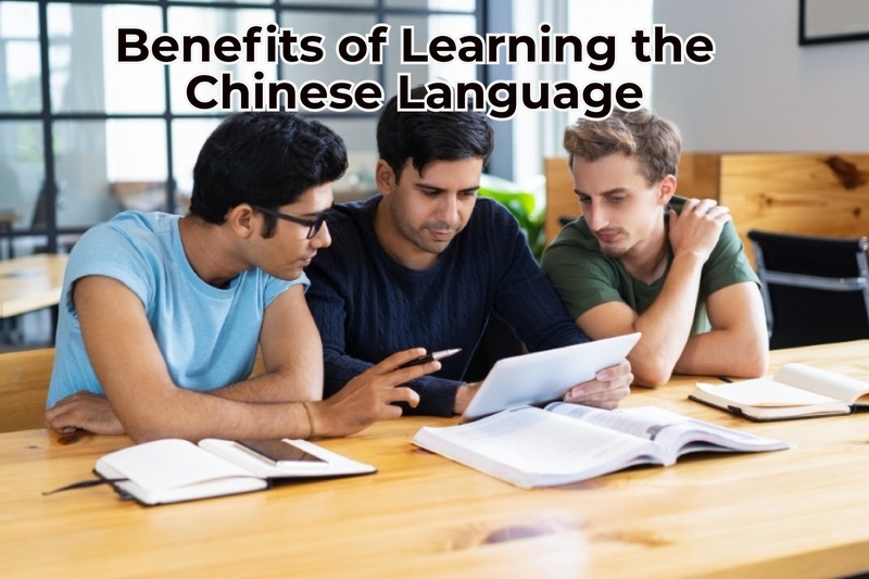 Benefits of Learning Chinese Language in India